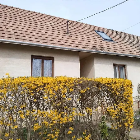 Eva Vendeghaz Holiday home